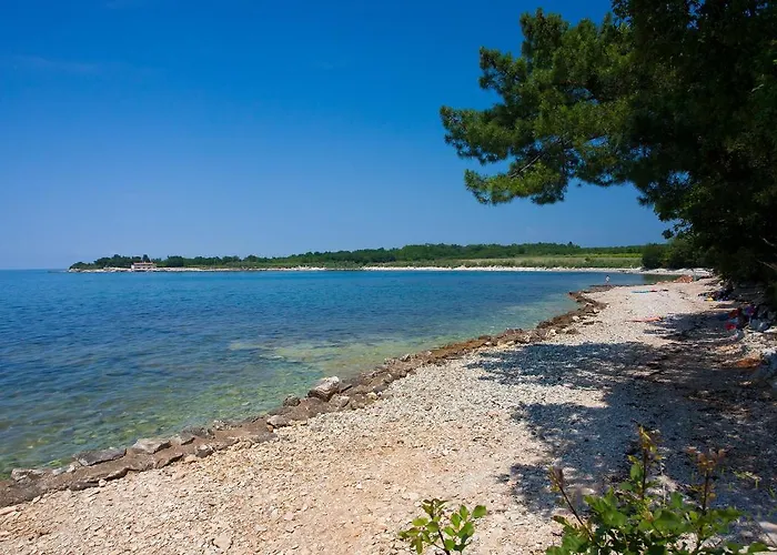 Adria Mobile Homes In Kastanija Novigrad Istria