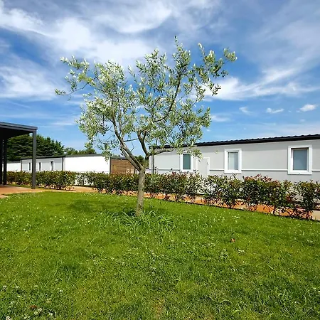 Adria Mobile Homes In Kastanija Novigrad Istria